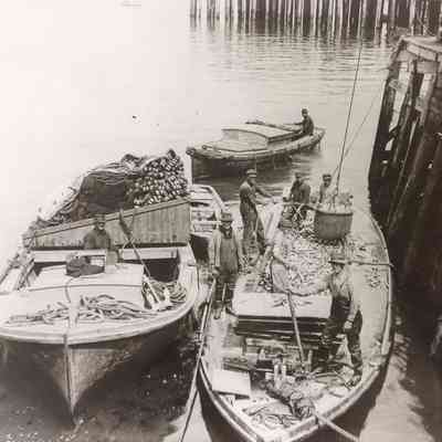 Unloading 19-ton Sardine Catch