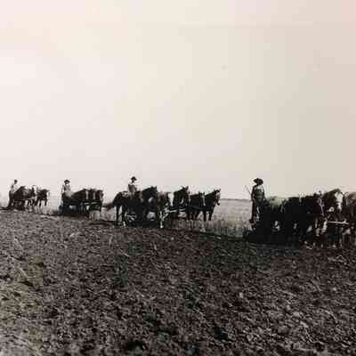 Plowing, Russell County, Kansas, 1910