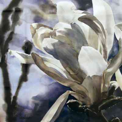 Magnolia Blossom
