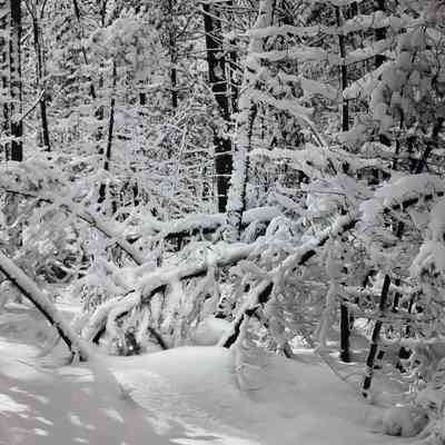 New Snow