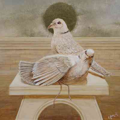 Turtle Doves