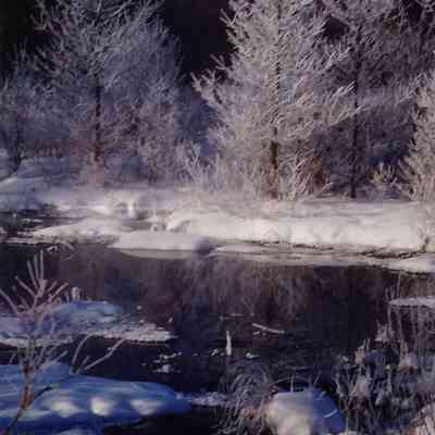 Winter on the Rogue with Frosted Tamarack