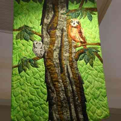 Deep Woods (front center)