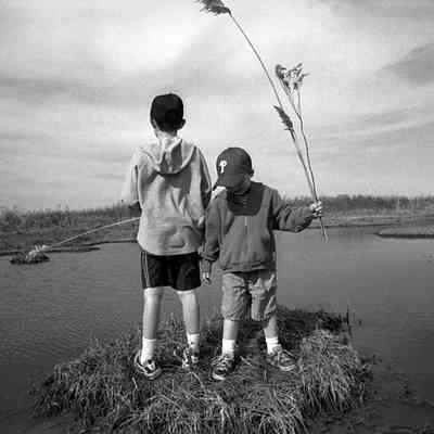 In a Salt Marsh