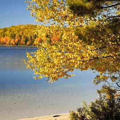 Untitled (Sunny View of Lake in Fall)