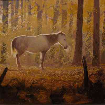 October Morning