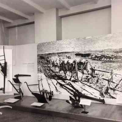 Prairie Breaking Scene
