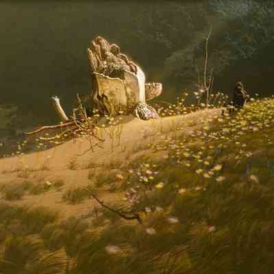 Stump