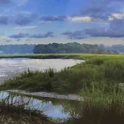 LaRoach Creek Low Tide
