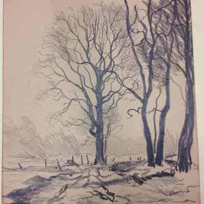 Trees