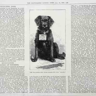 1883 - B: 1 CHARITY COLLECTING DOGS OF ENGLAND - One