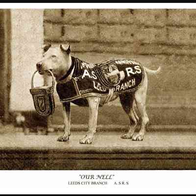 1915 – H	CHARITY COLLECTING DOG OUR NELL, LEEDS CITY BRANCH