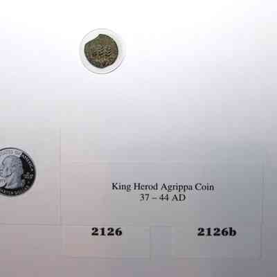 18,523 - KING HEROD AGRIPPA COIN