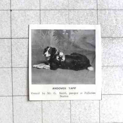 1905 – J	ANDOVER TAFF