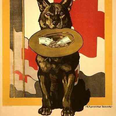 1915-18 G	THE RED CROSS DOG: JOIN NOW