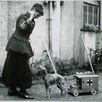 1894 – B	RED CROSS CHARITY COLLECTION: MINIATURE GREYHOUND