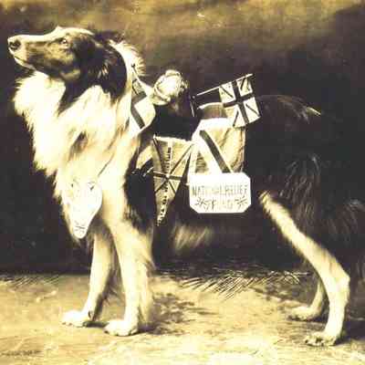 1915 – G	CHARITY COLLECTING DOG NATIONAL RELIEF FUND: COLLIE