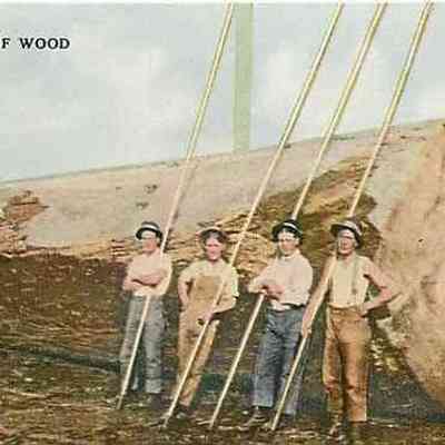 1900 – E	HEWERS OF WOOD