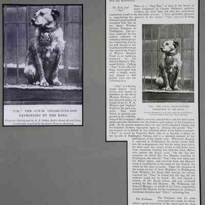 1901 – D	THE KING RECOGNIZES “TIM” THE CHARITY COLLECTING DOG