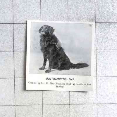 1905 – L	SOUTH HAMPTON GYP