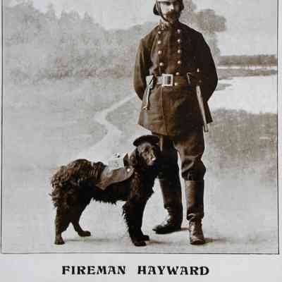 1896 – B	FIREMAN HAYWARD WITH JACK, CHARITY COLLECTING DOG