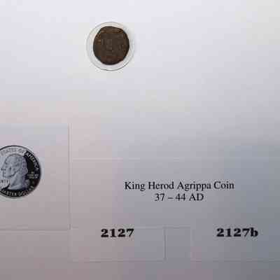 18,524 - KING HEROD AGRIPPA COIN.