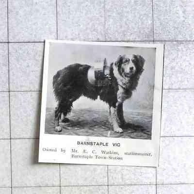 1905 – K	BARNSTAPLE VIC