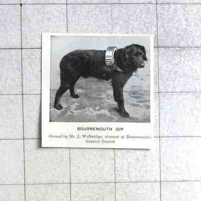 1905 – G	BOURNEMOUTH GIP