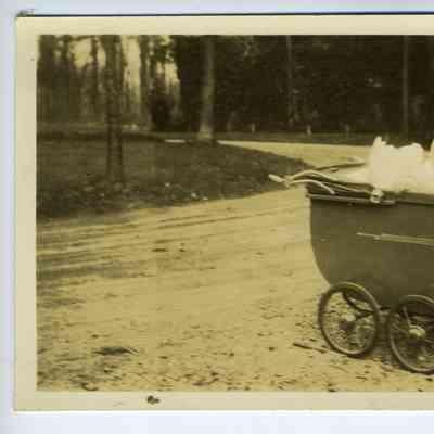 A photograph of a baby in a carriage beside a road