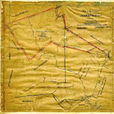 Map of Estate of Jas. Watson Dec'd. Surveyed 11/13/1860