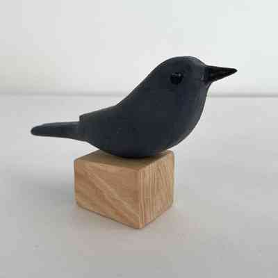 Catbird