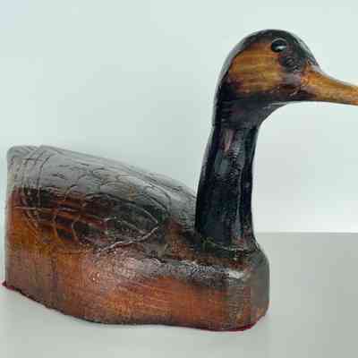 DUCK DECOY