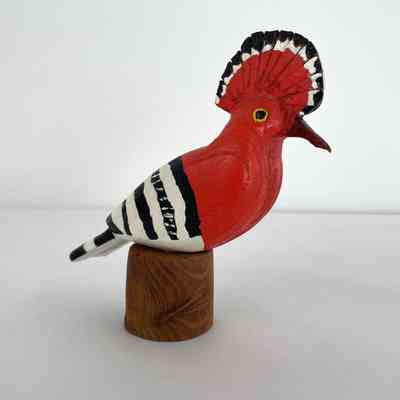 Hoopoe