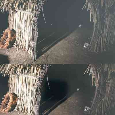 HC2. Fig. 5. Willow arch.