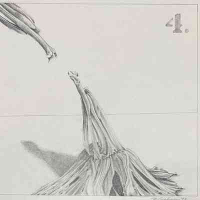 Untitled (Reaching Trunk Forms)
