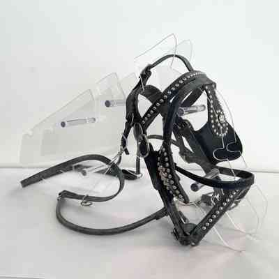 AMISH BRIDLE