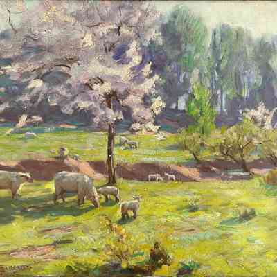 UNTITLED (SHEEP GRAZING)