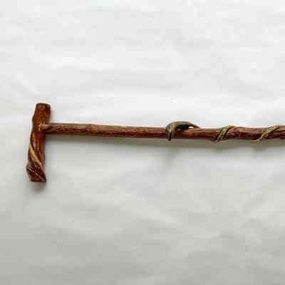 WALKING STICK