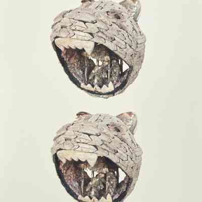 HC3. Fig. 4. Effigy of a bear with model of a hut.