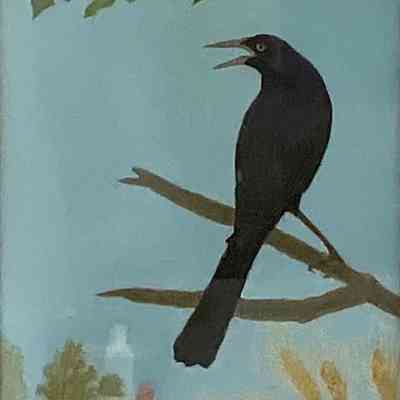 UNKNOWN (BLACK BIRD)