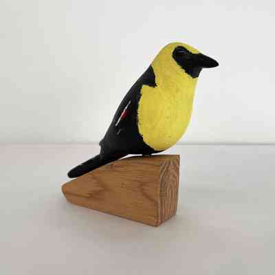 Yellow-Headed Blackbird