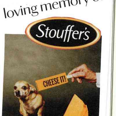 In Loving Memory of Stouffer's