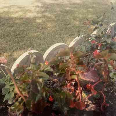 FLOWER BORDER