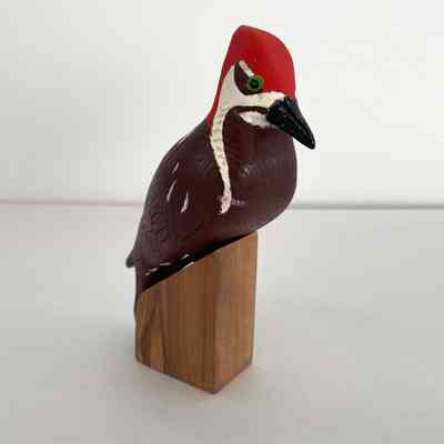 Pileated Woodpecker