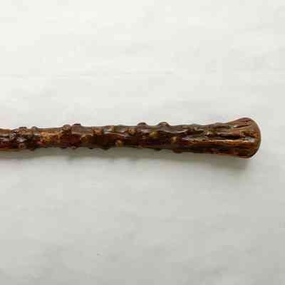 PALM TREE CANE