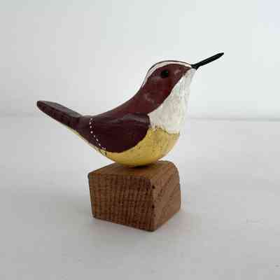 Carolina Wren