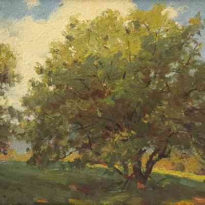 Untitled (Summer Landscape Study)