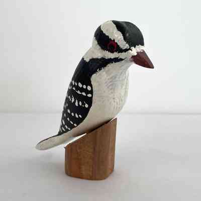 Downy Woodpecker