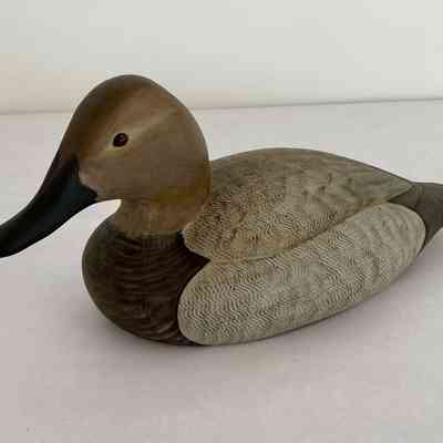 CANVASBACK HEN DECOY