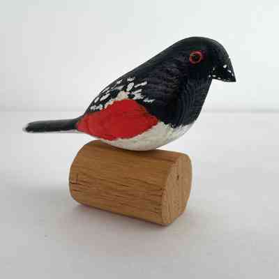 Towhee